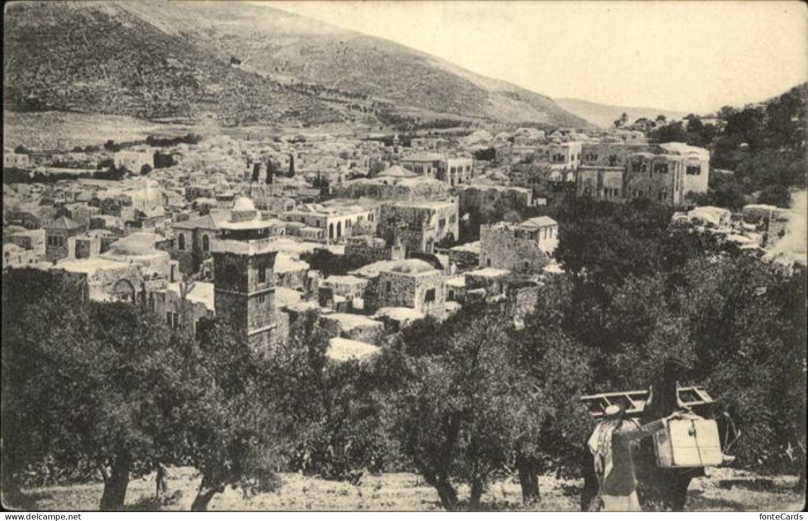 10956788 Nablus Mt Ebal  - Israel