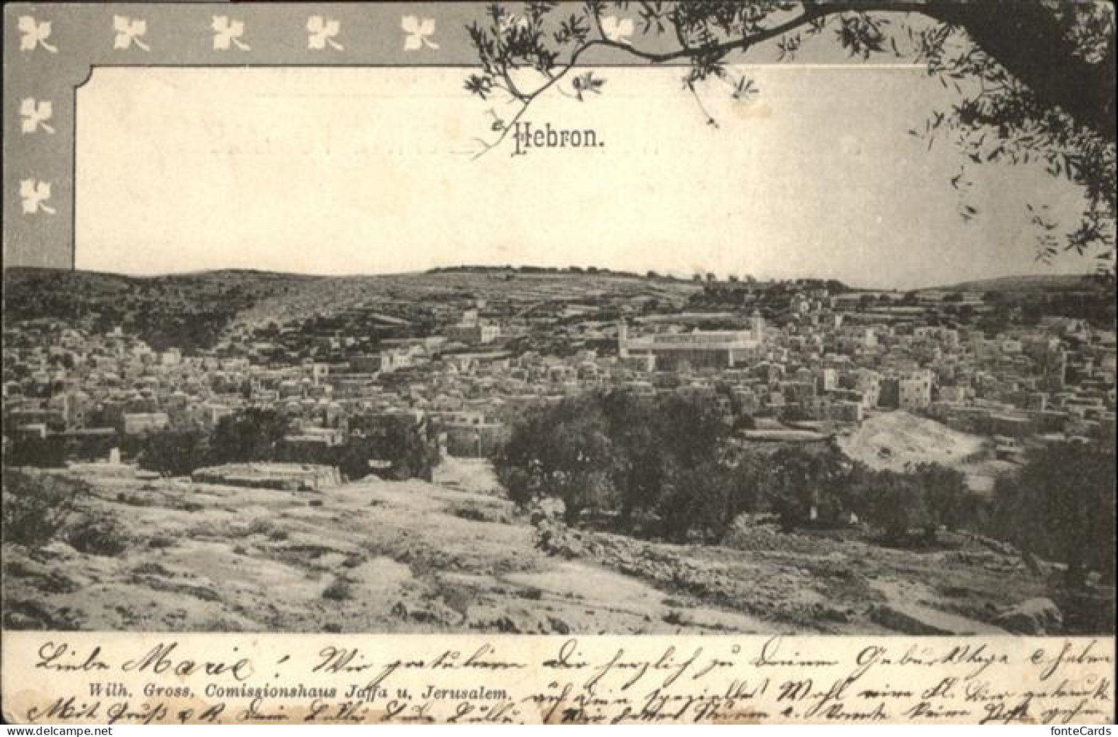 10956786 Hebron  Israel - Israel