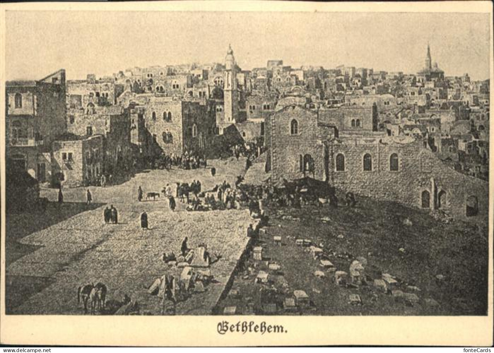 10956685 Gethlehem Pferd Gethlehem - Israel