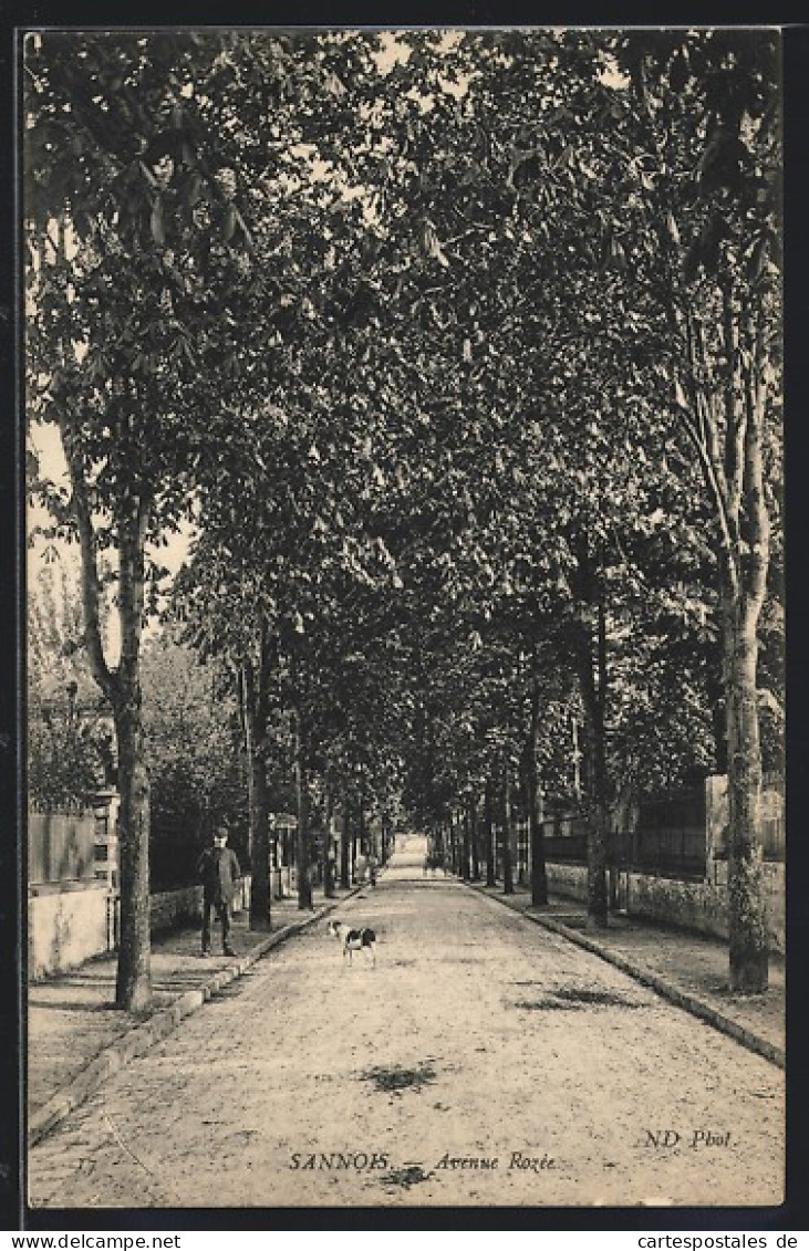 CPA Sannois, Avenue Rozée  - Sannois