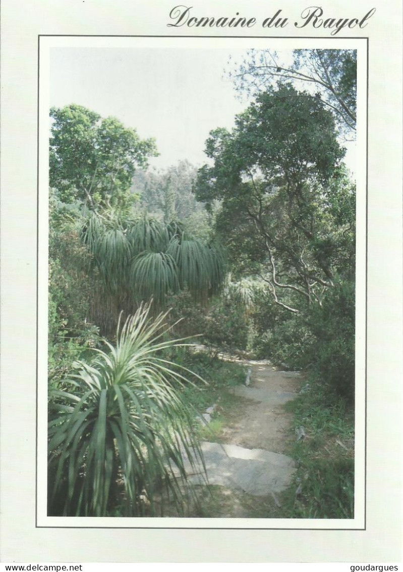Le Domaine Du Rayol - Jardins Méditerranéens - Le Jardin D'Amérique Centrale - (P) - Rayol-Canadel-sur-Mer