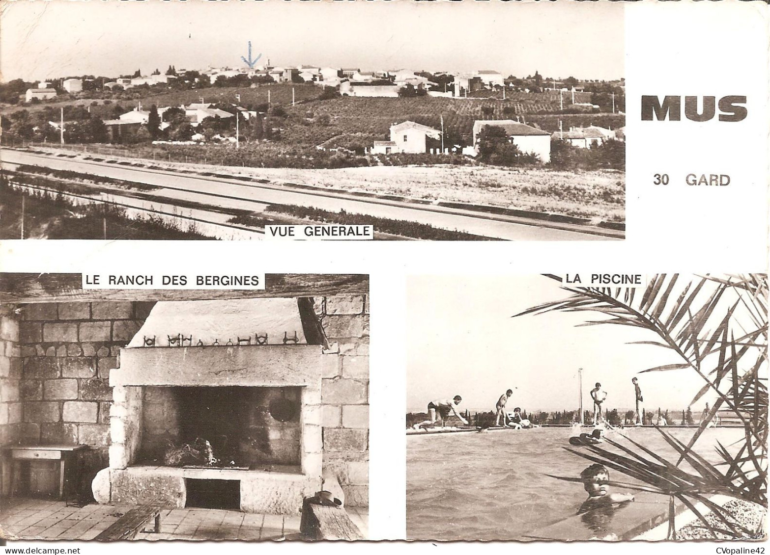 MUS (30) Vue Générale - Le Ranch Des Bergines - La Piscine En 1970  CPSM GF (Carte Pas Très Courante) - Other & Unclassified