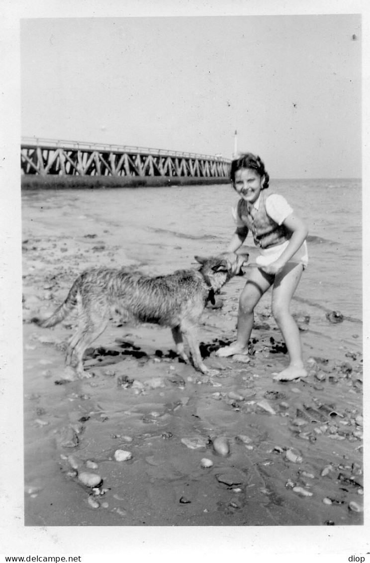 Photographie Vintage Photo Snapshot Chien Dog Enfant Fillette Grandcamp - Autres & Non Classés