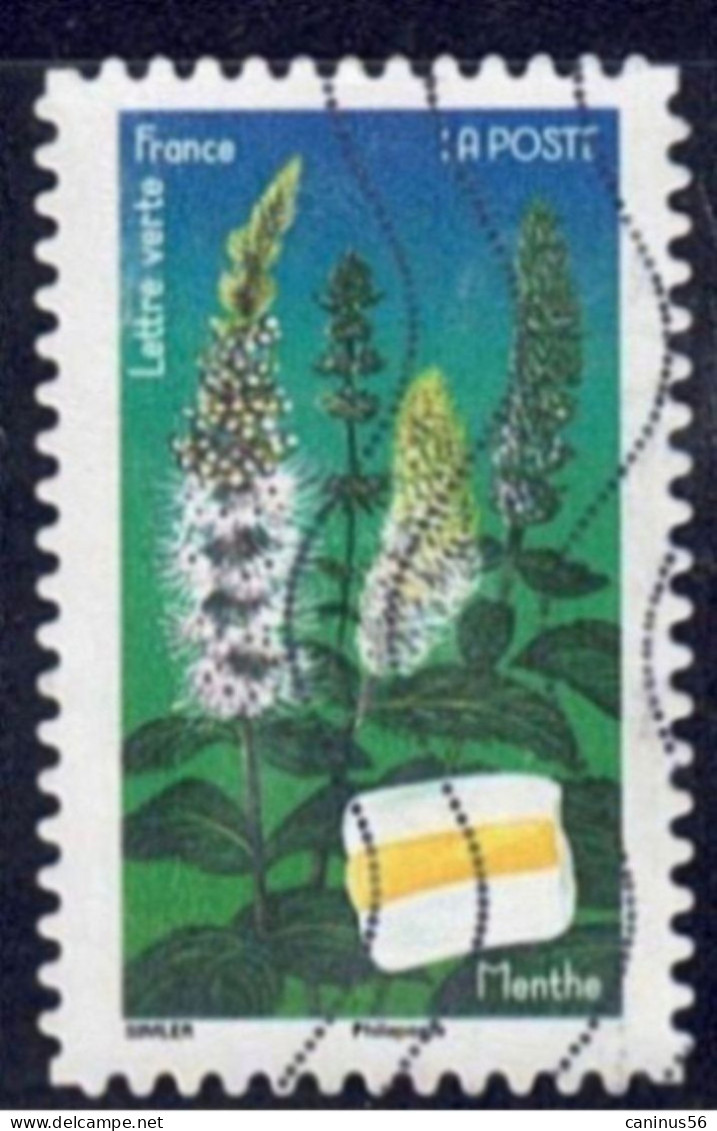 2022 Yt AA 2137 (o) Fleurs Et Douceurs Menthe - Used Stamps