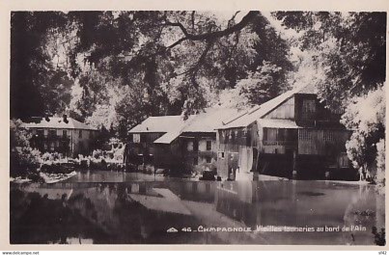 CHAMPAGNOLE               Vieilles Tanneries Au Bord De L Ain - Champagnole