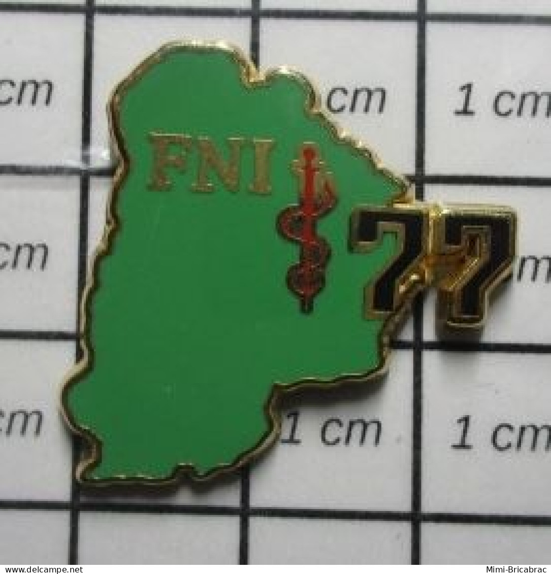 811B Pin's Pins / Beau Et Rare / ASSOCIATIONS / FNI 77 FEDERATION NATIONALE DES INFIRMIERS Par BALLARD DORE OR FIN - Associations