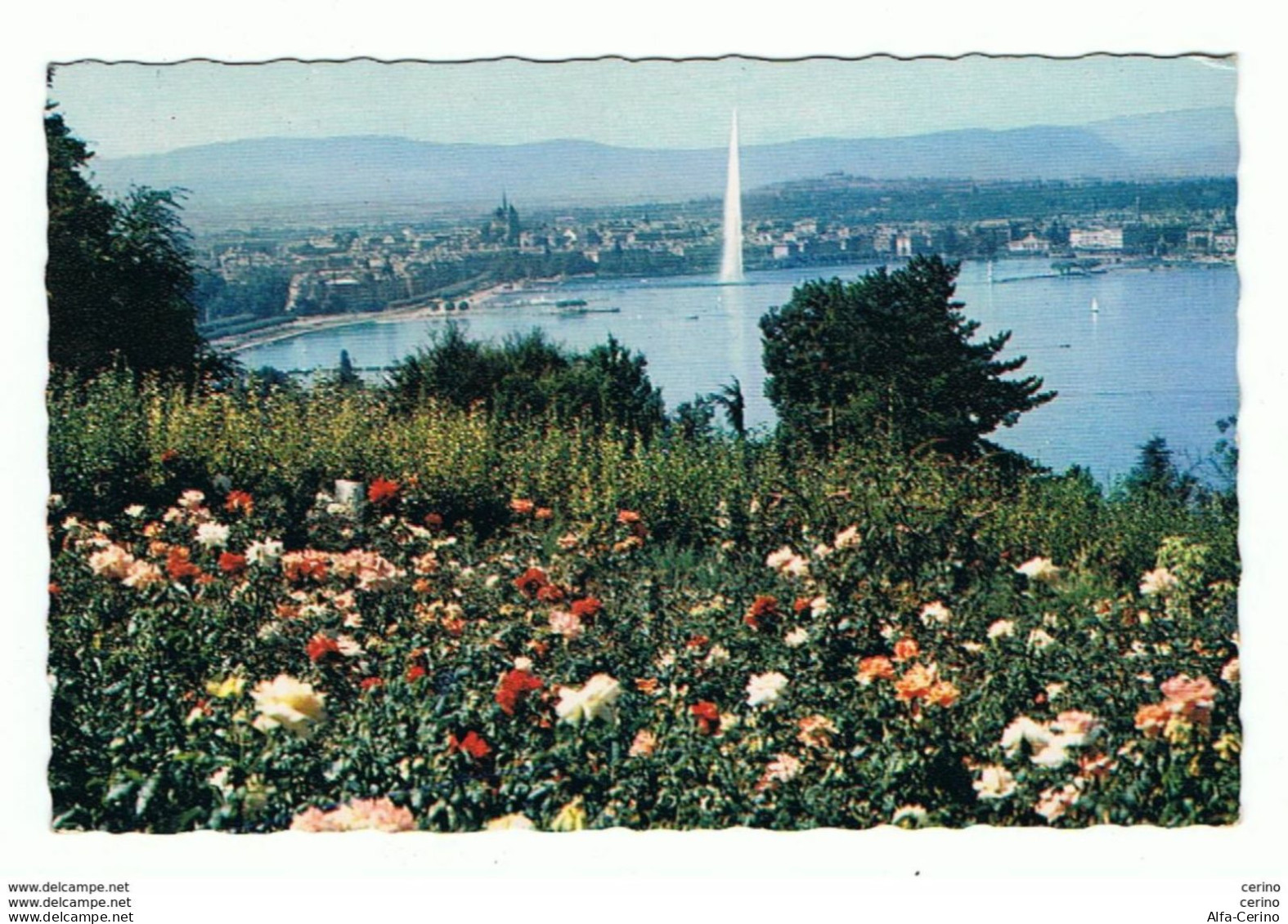 GENEVE:  LE  LAC, LE  JET  D' EAU  ET  LA  VILLE  -  POUR  L' ITALIE  -  FP - Genève