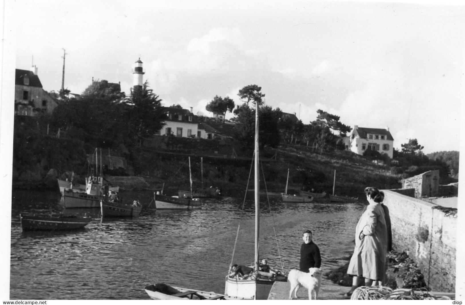 Photographie Vintage Photo Snapshot Bretagne Douelan Sur Mer - Places