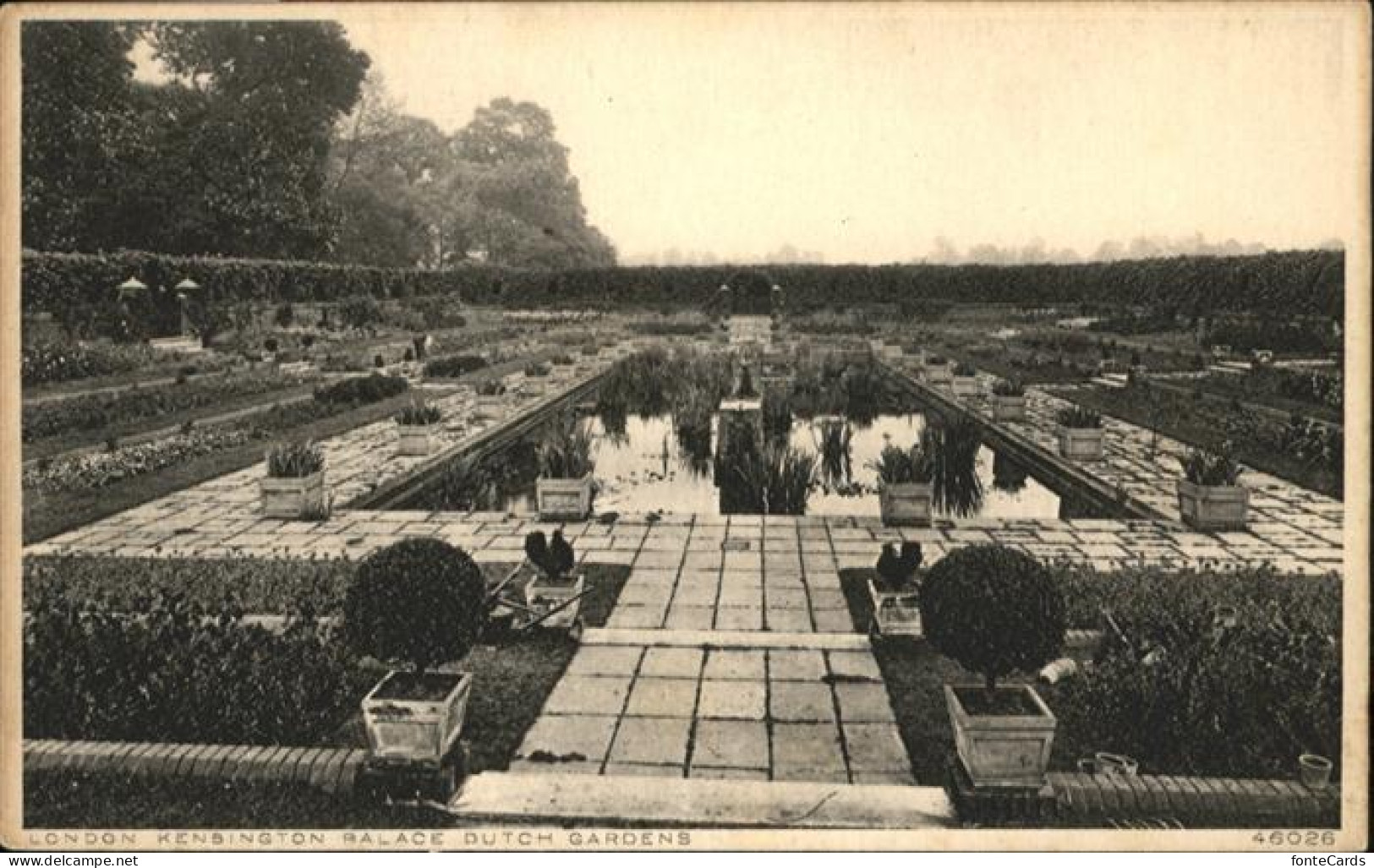 10927929 London London Kensington Palace Dutch Gardens * - Other & Unclassified