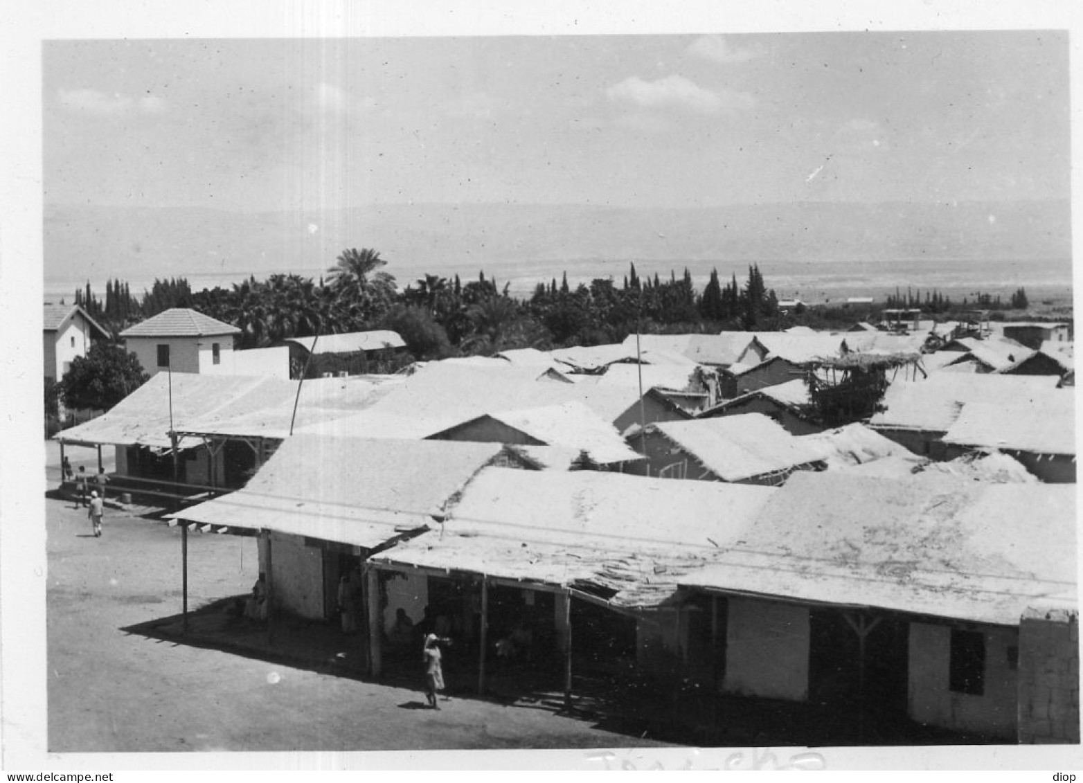 Photographie Vintage Photo Snapshot Jericho Cisjordanie Proche Orient - Africa