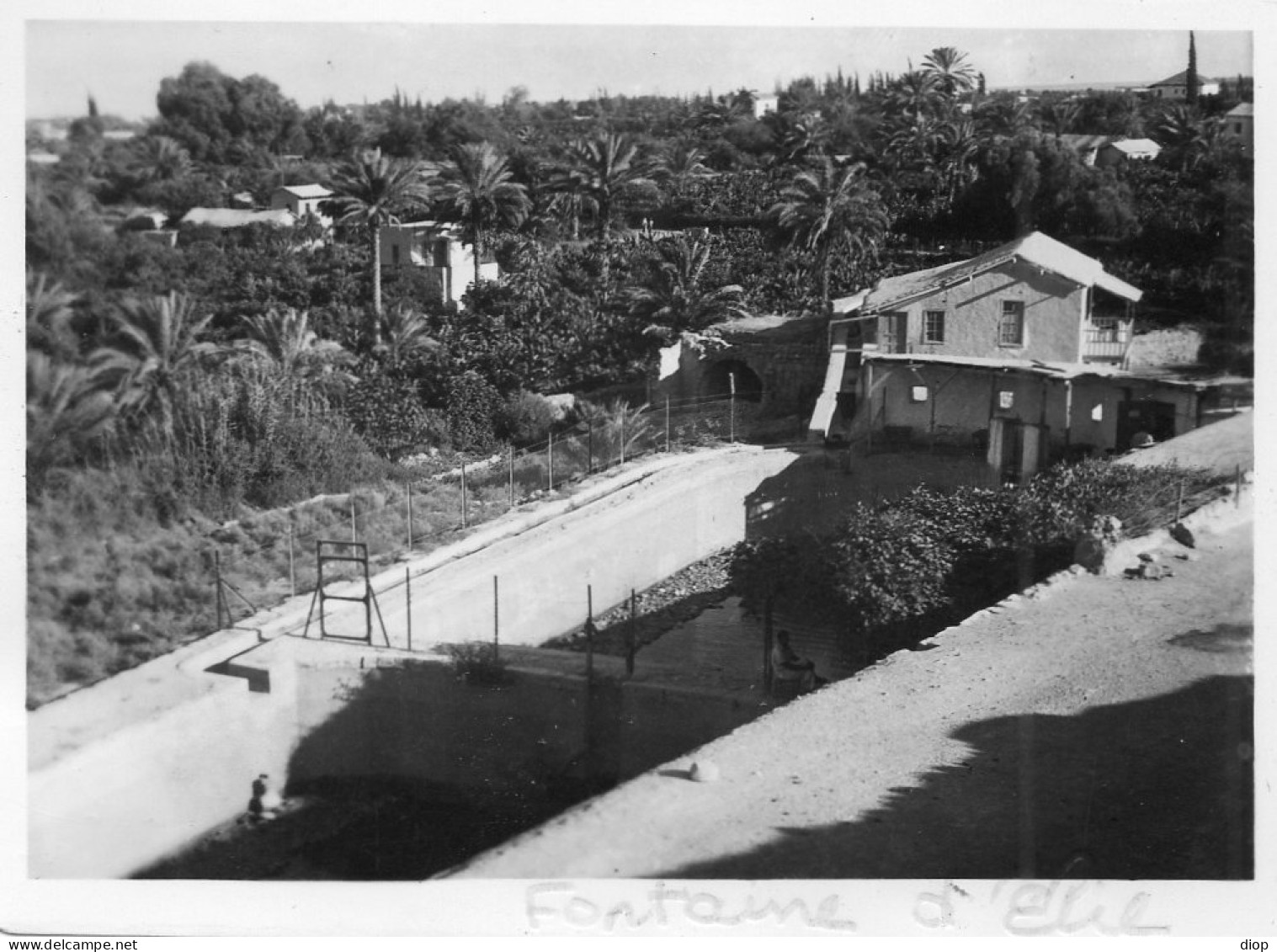 Photographie Vintage Photo Snapshot Jericho Cisjordanie Proche Orient - Africa