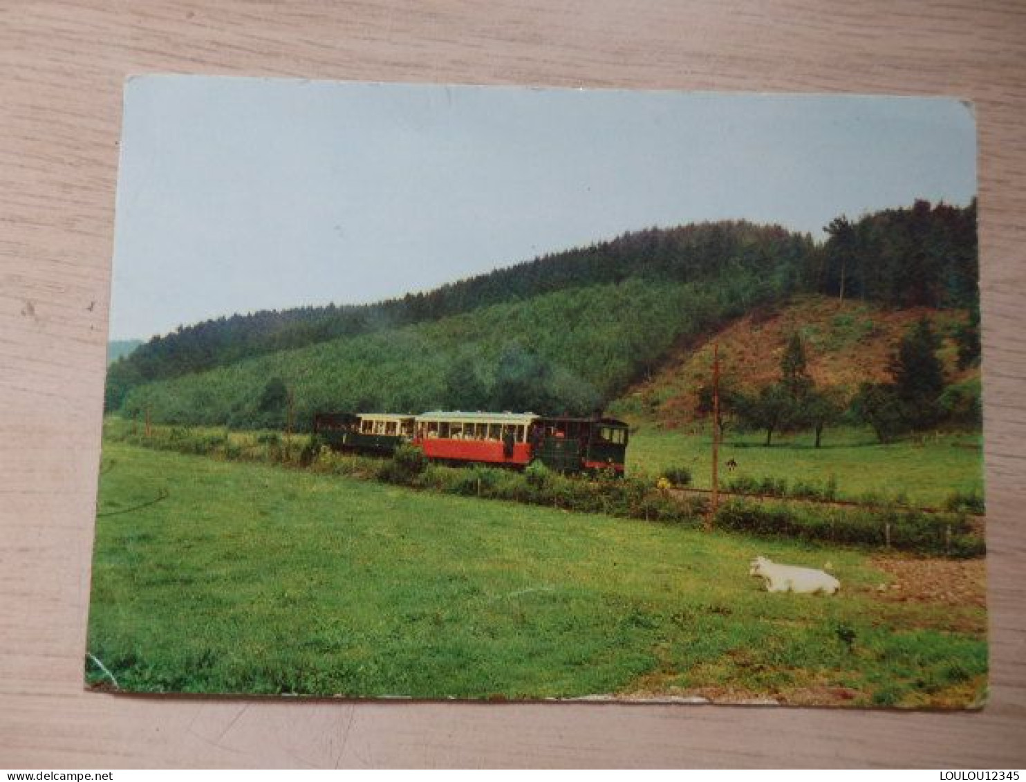 Aisne. - Waismes - Train/Tramway - P 369 - Erezée-Amonines-Dochzmps - Photo Carte: La Dendre - 2 Scans - Stations - Met Treinen