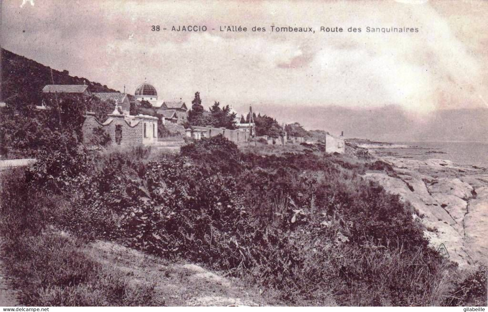 20 - Corse - AJACCIO -   L Allée Des Tombeaux - Route Des Sanguinaires - Ajaccio