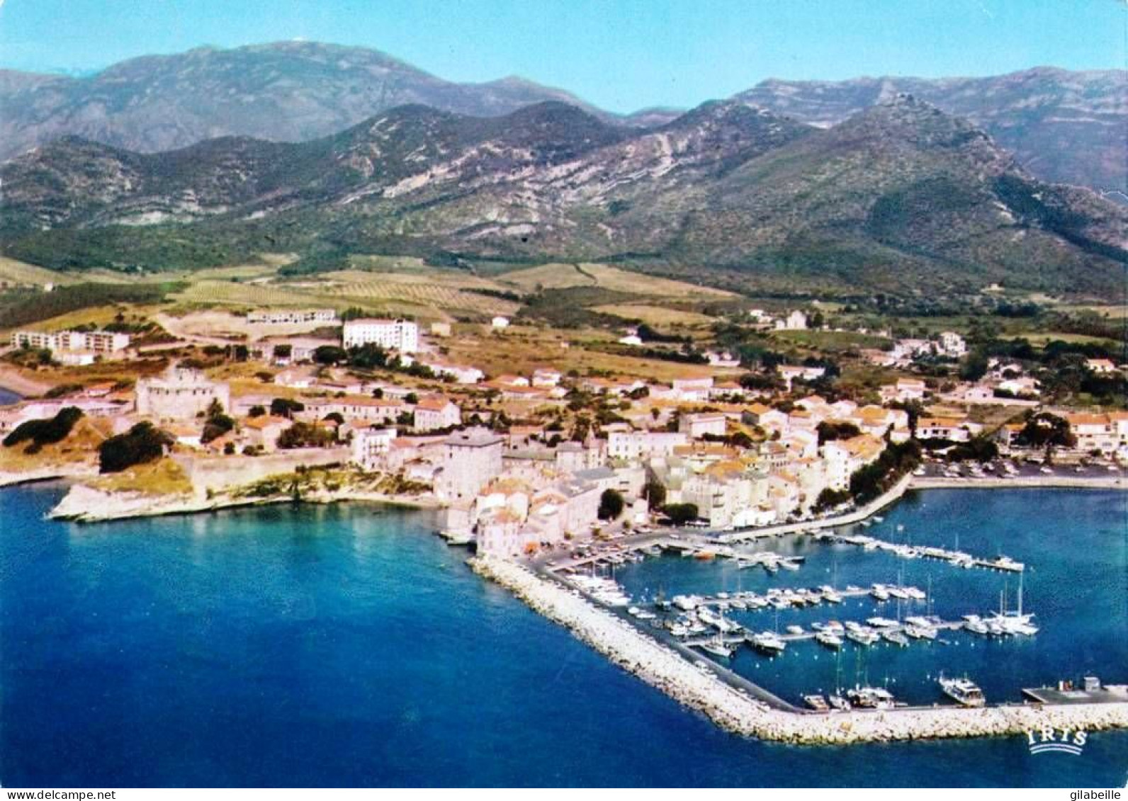 20 - Corse -  SAINT FLORENT ( San Fiurenzu ) Le Port De Plaisance - La Ville - Otros & Sin Clasificación