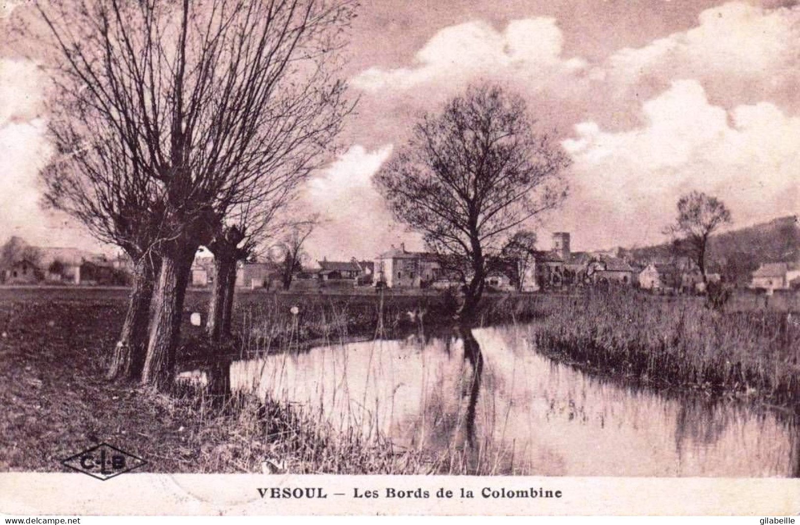 70 - Haute Saone -  VESOUL -  Les Bords De La Colombine - Vesoul