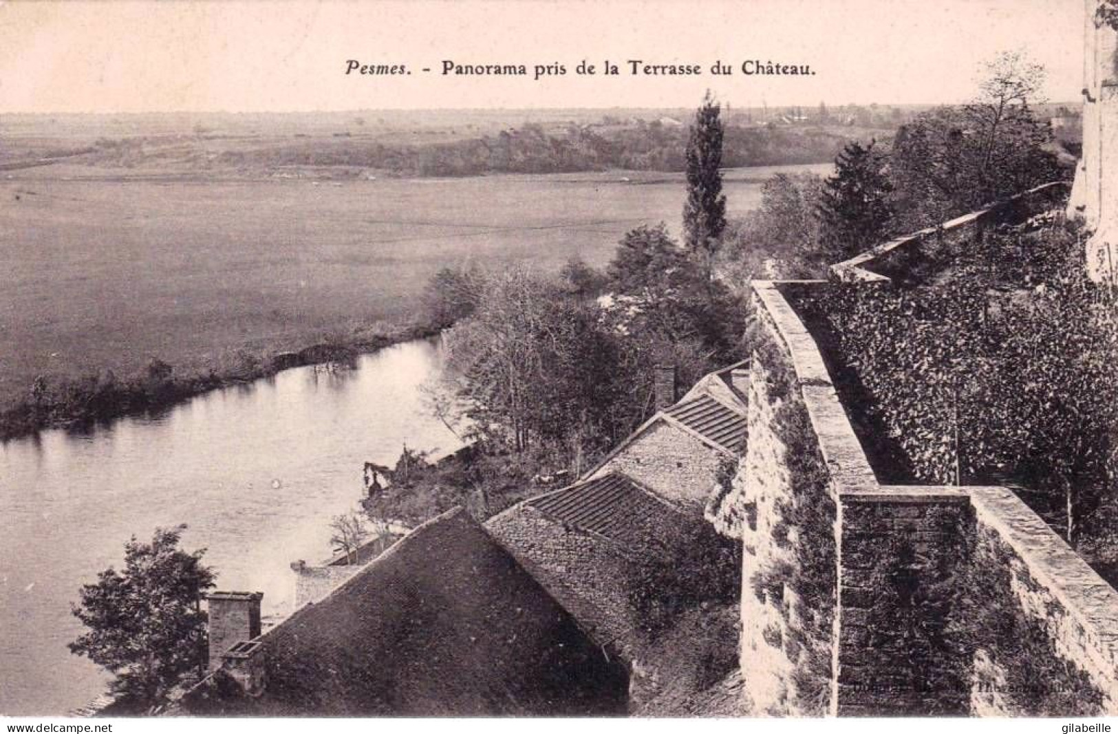 70 - Haute Saone -  PESMES - Panorama Pris De La Terrasse Du Chateau - Pesmes