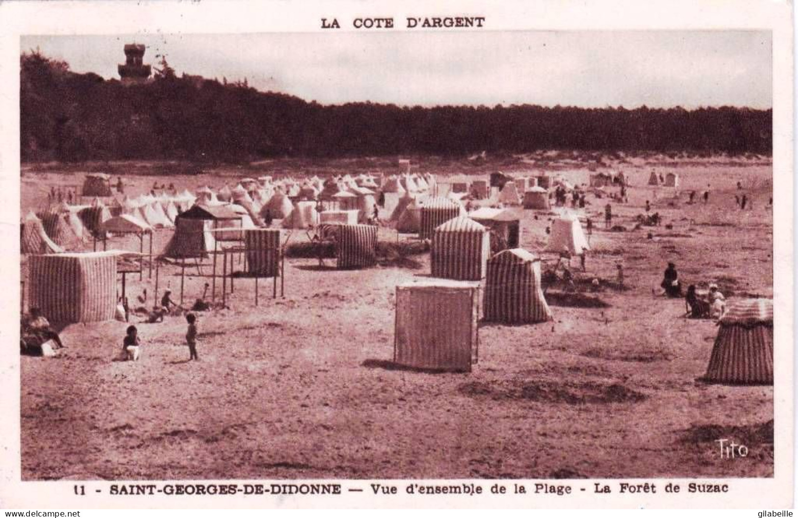 17 - Charente Maritime -  SAINT GEORGES  De DIDONNE -  Vue D Ensemble De La Plage - Foret De Suzac - Saint-Georges-de-Didonne