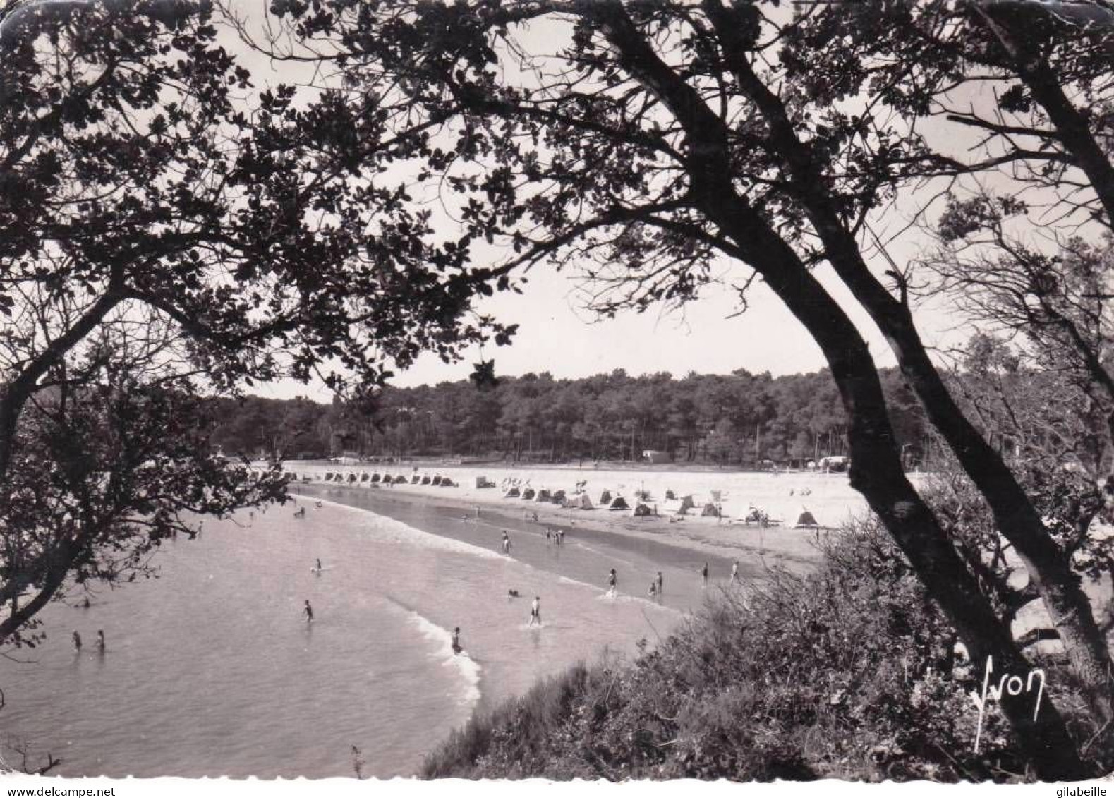 17 - Charente Maritime -  VAUX - NAZAN - La Plage Pres De Saint Palais Sur Mer - Rochefort