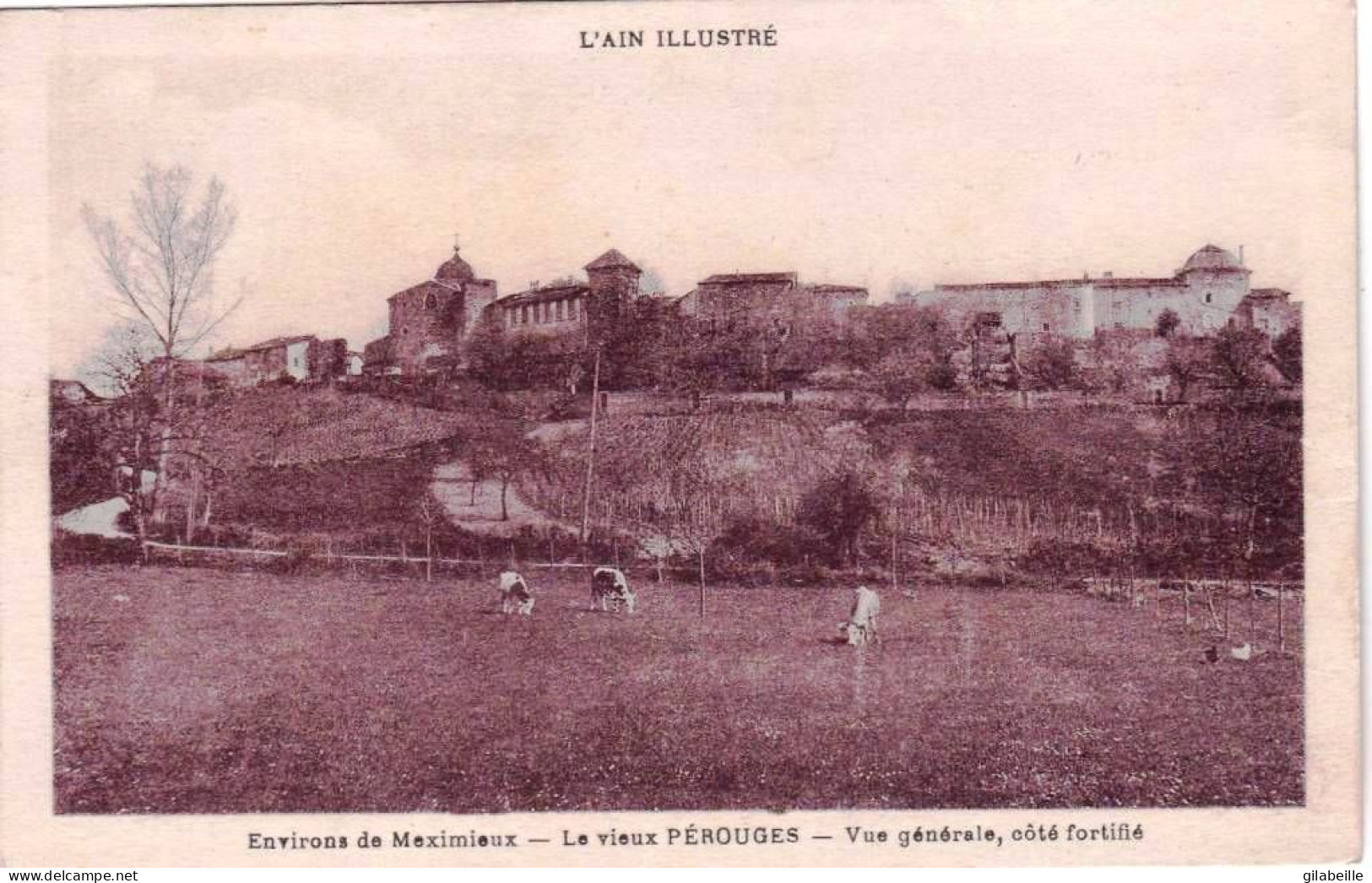 01 - Ain -  PEROUGES ( Environs De Meximieux ) -  Vue Generale  - Coté Fortifié - Pérouges