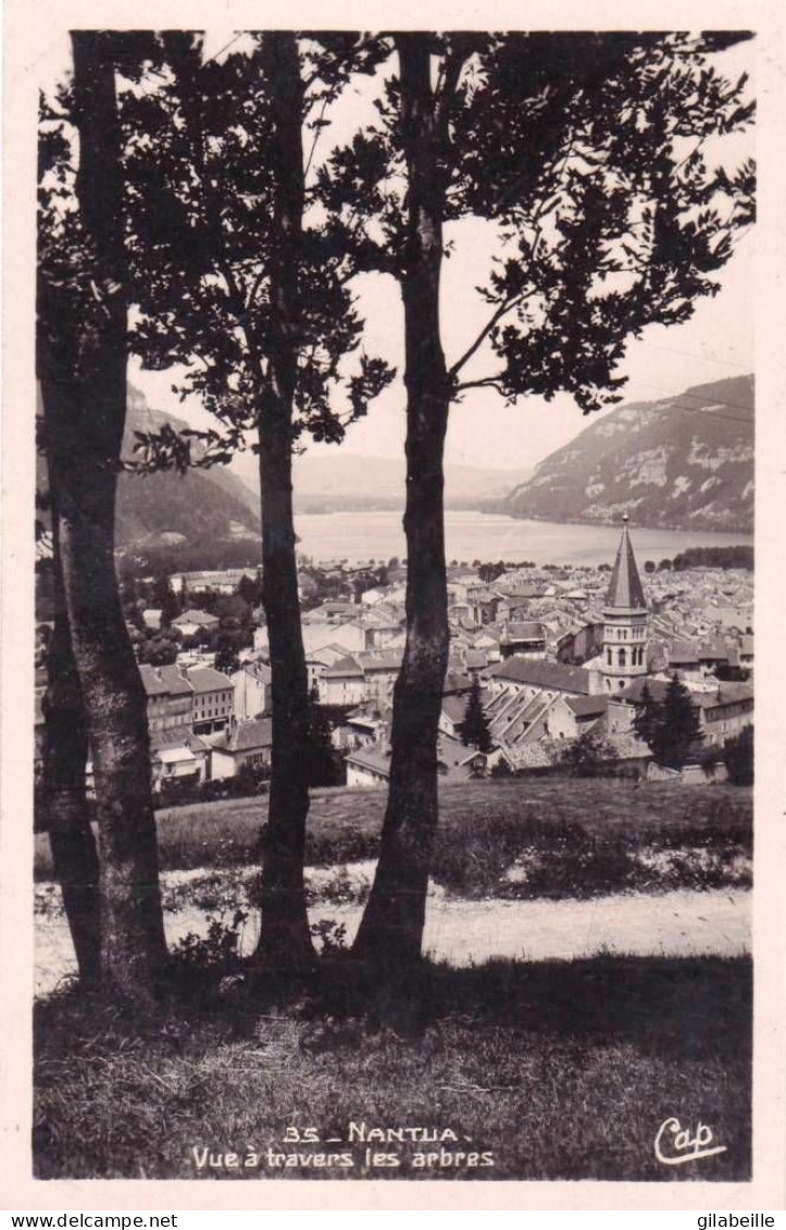 01 - Ain - NANTUA - Vue A Travers Les Arbres - Nantua