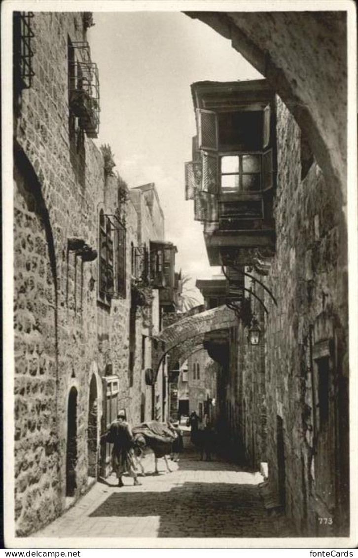 10915208 Jerusalem Yerushalayim Jerusalem Via Dolorosa Rue Street Strasse *  - Israel