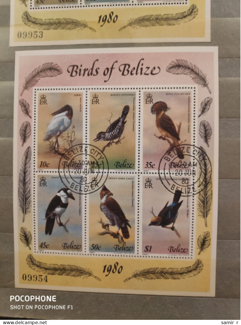 1980	Belize	Birds 11 - Belize (1973-...)