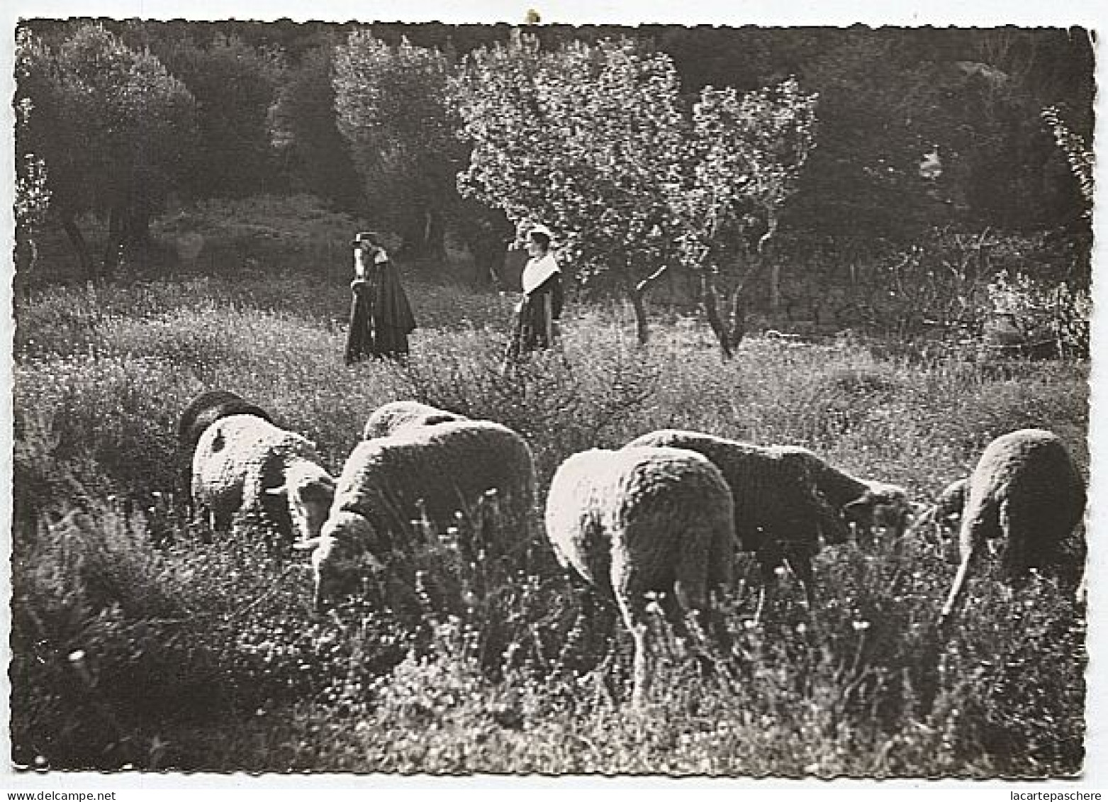 X123912 PROVENCE LOU PASTRE E MIREIO EDITIONS PHOTOS D' ART DE PROVENCE - Other & Unclassified