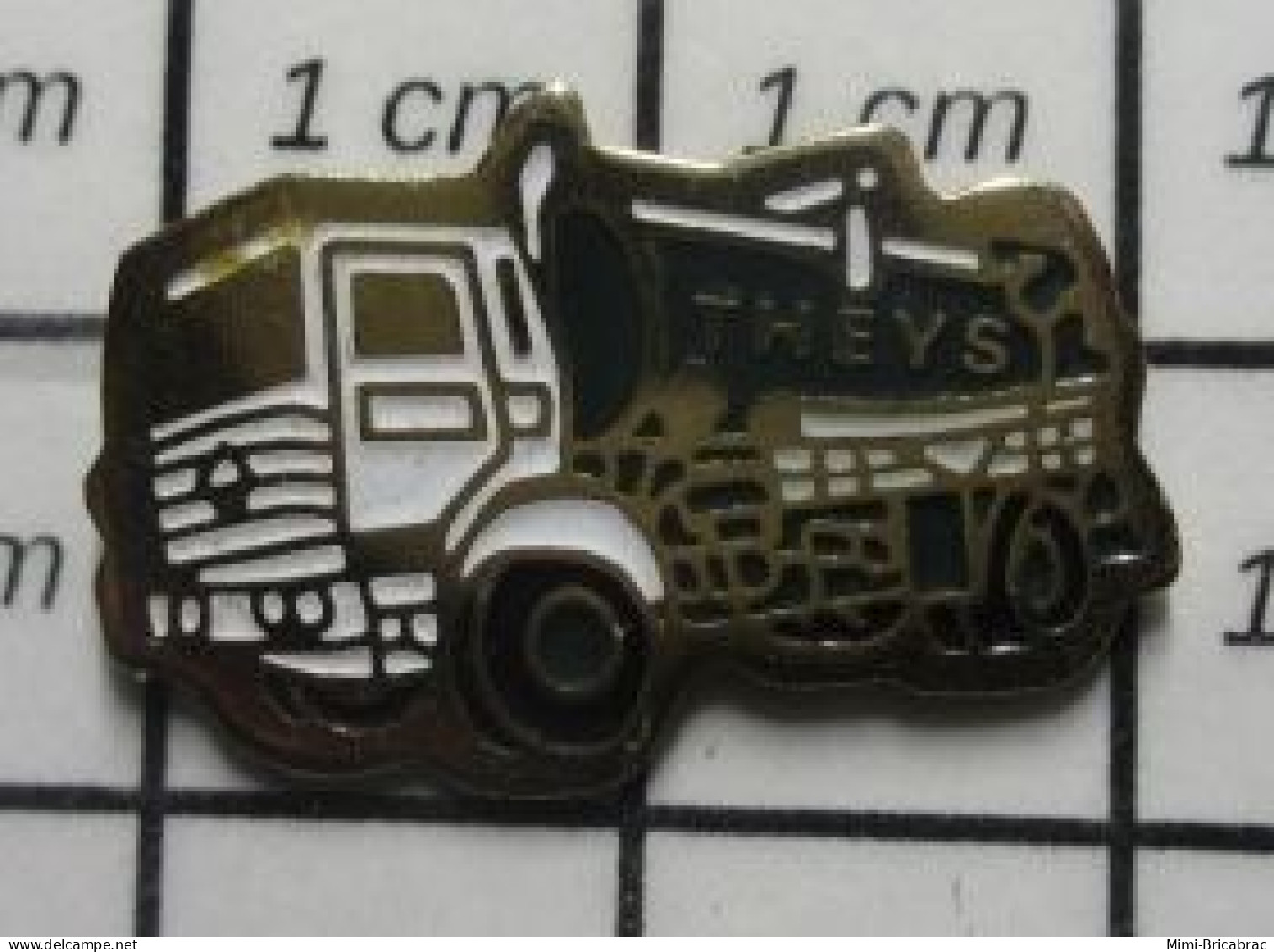 811B Pin's Pins / Beau Et Rare / TRANSPORTS / CAMION CITERNE THEYS - Trasporti