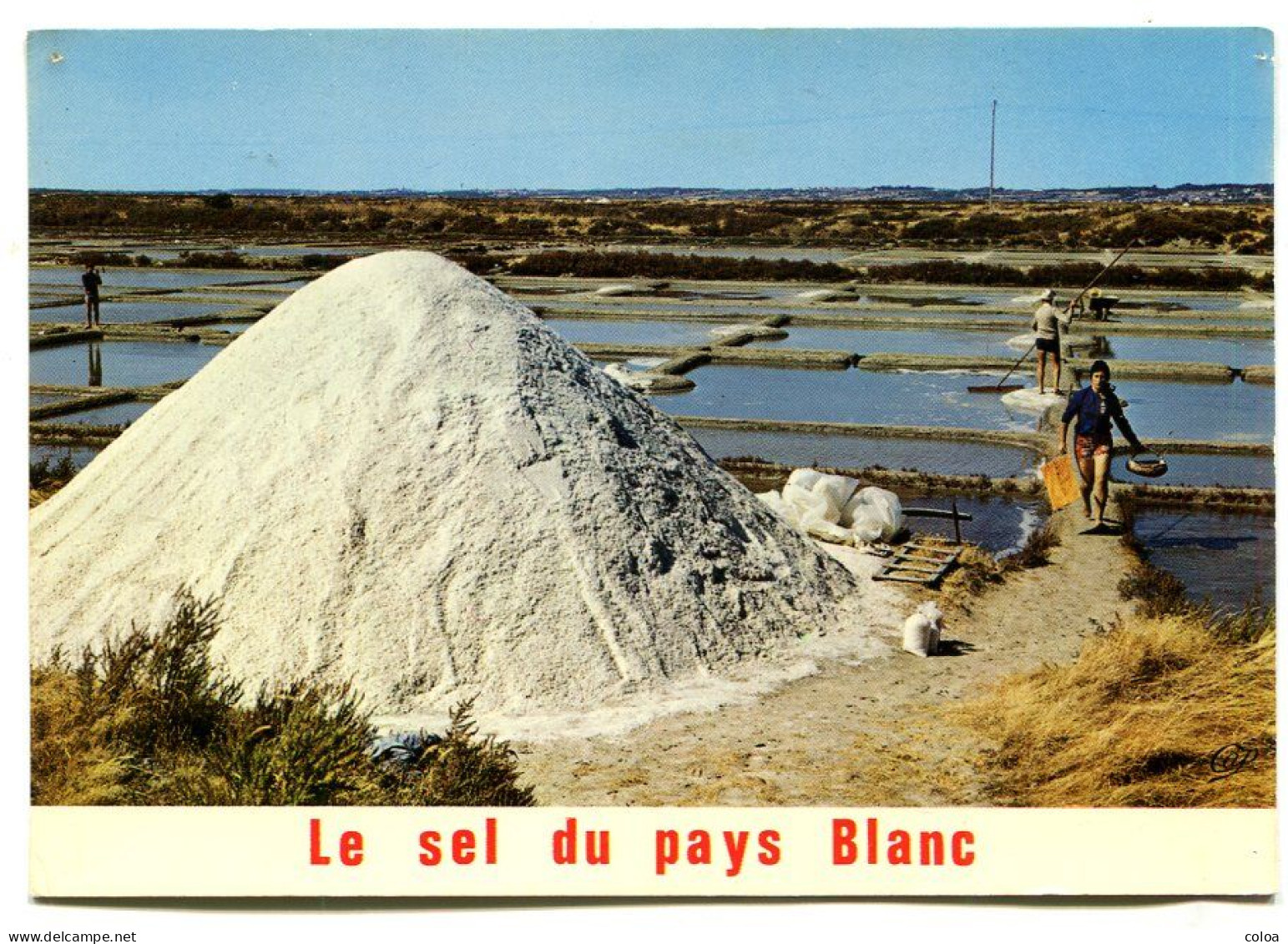 GUERANDE Le Sel Du Pays Blanc Paludiers Au Travail - Guérande