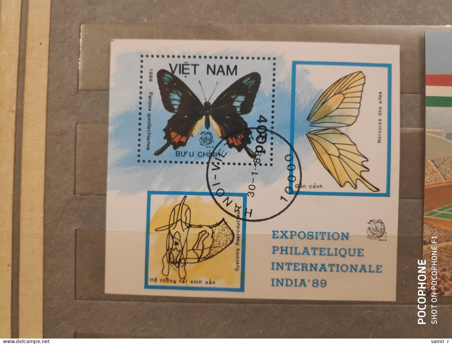 1989	Vietnam	Butterflies 11 - Vietnam