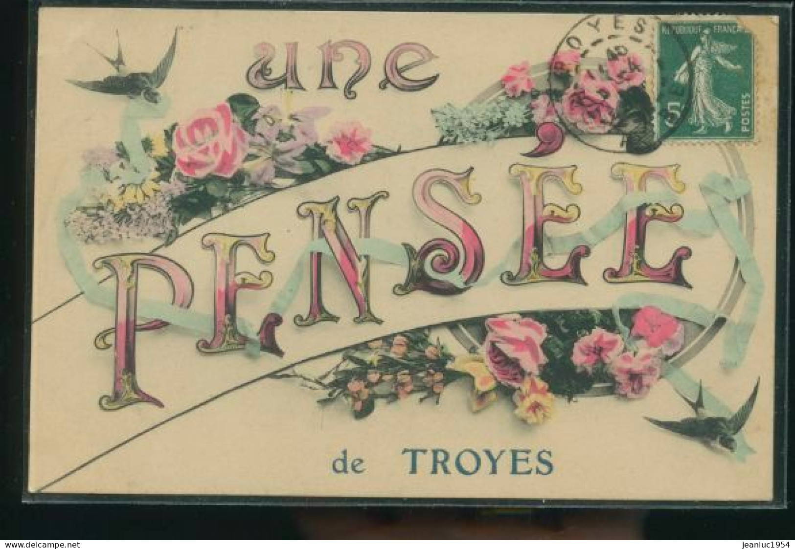 TROYES UNE PENSEE                                          ( MES PHOTOS NE SONT PAS JAUNES ) - Troyes