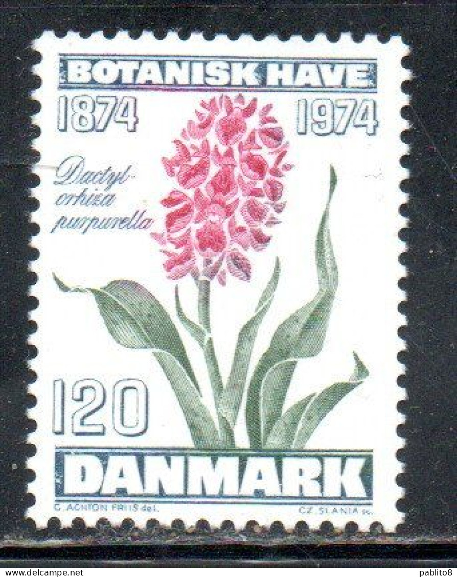 DANEMARK DANMARK DENMARK DANIMARCA 1974 COPENHAGEN BOTANICAL GARDEN CENTENARY PURPLE ORCHID FLOWER FLORA 120o MNH - Neufs