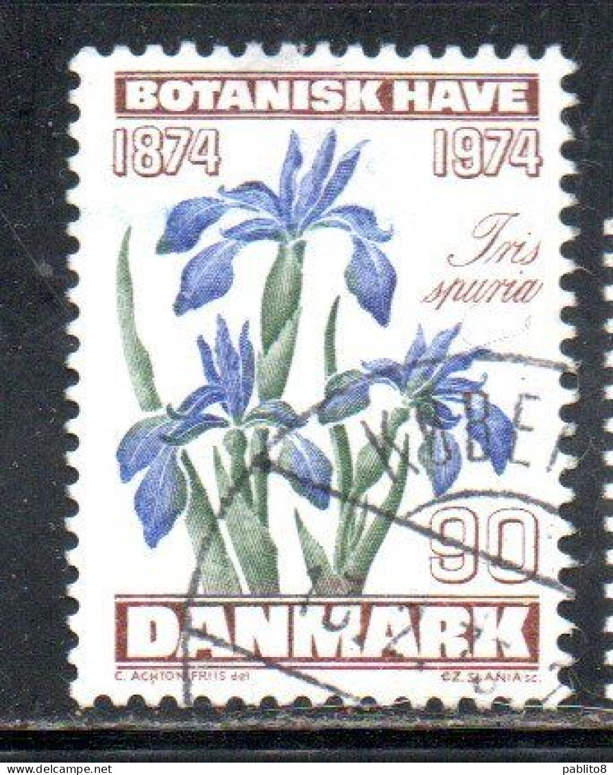 DANEMARK DANMARK DENMARK DANIMARCA 1974 COPENHAGEN BOTANICAL GARDEN CENTENARY IRIS FLORA FLOWER 90o USED USATO OBLITERE' - Gebraucht