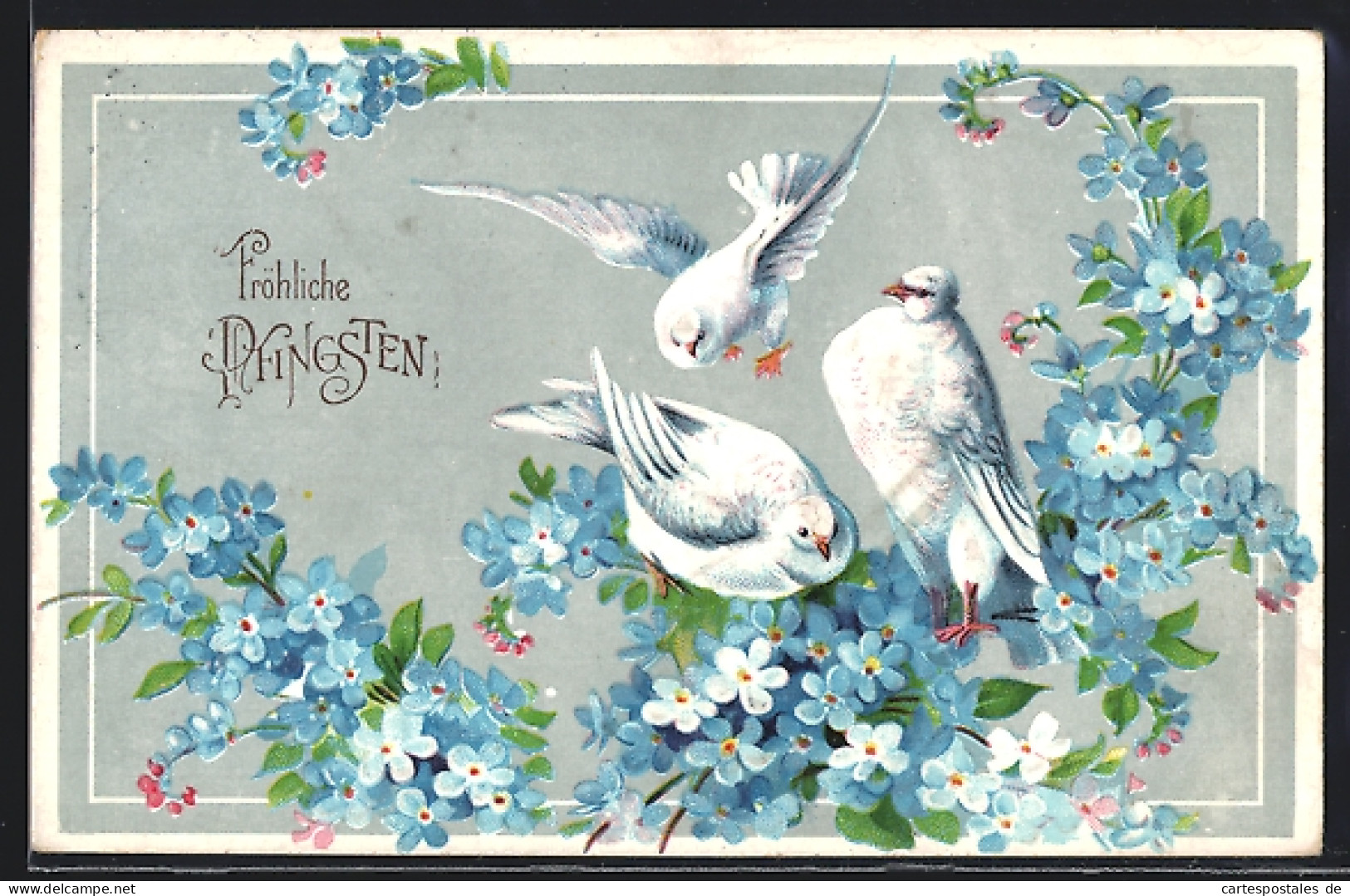 AK Weisse Tauben Auf Blauen Blumen, Pfingstgruss  - Birds
