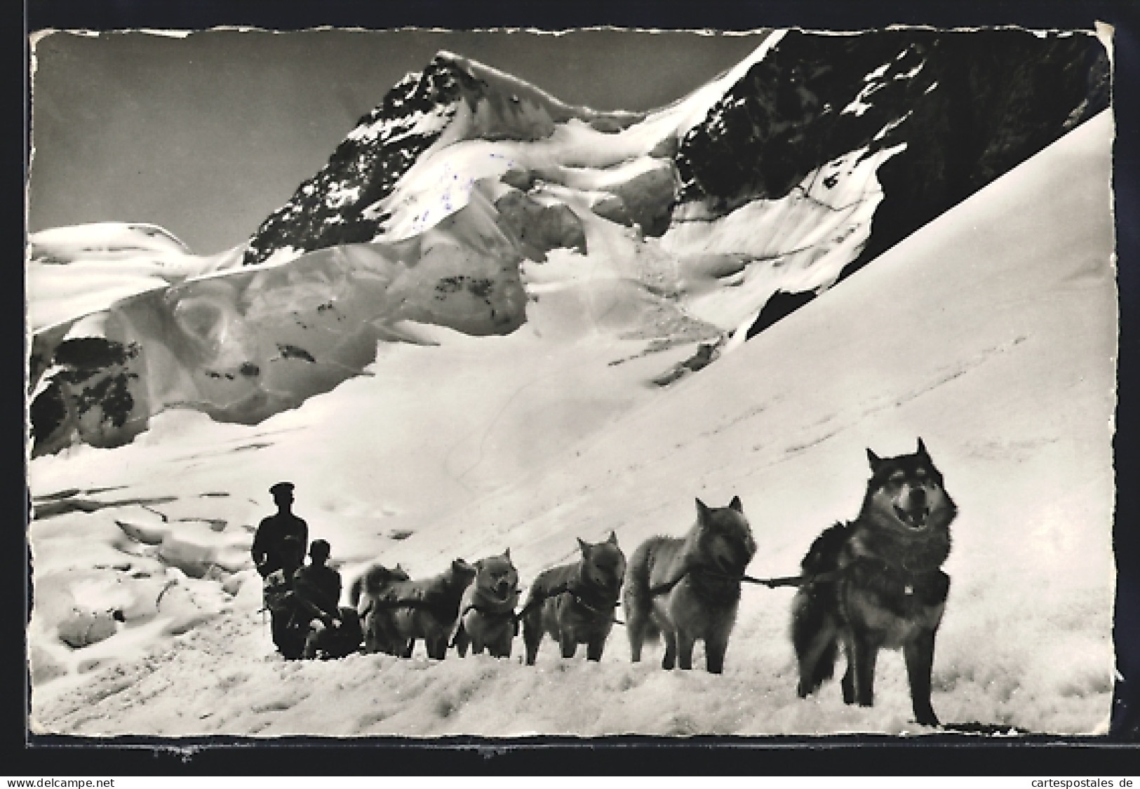 AK Jungfraujoch, Hundeschlitten Mit Polarhunden Vor Berggipfel  - Dogs