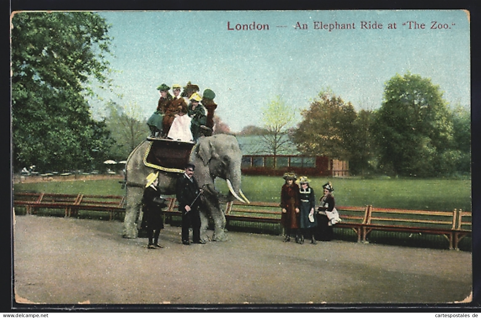 AK London, Zoo, Elefant Trägt Menschen Auf Dem Rücken, Au Elephant Ride At The Zoo  - Olifanten