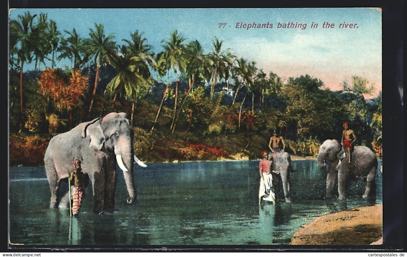 AK Elephants Bathing In The River  - Éléphants