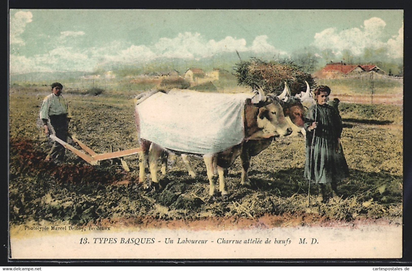 AK Bauer Mit Ochsen-Gespann Auf Dem Feld  - Cows