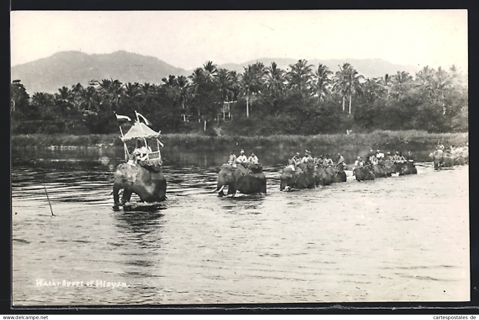 AK Chiang Mai, Elefanten Im Fluss  - Thaïlande