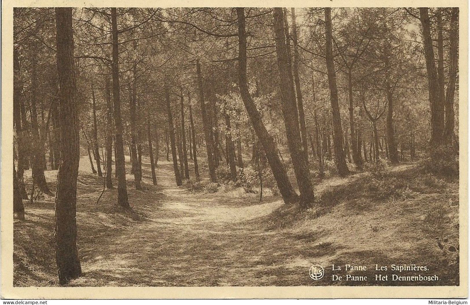 De Panne - Het Dennenbosch - De Panne