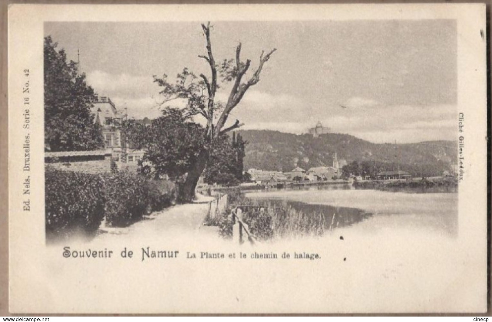 CPA BELGIQUE - NAMUR - Souvenir De Namur - La Plante Et Le Chemin De Halage - Namur