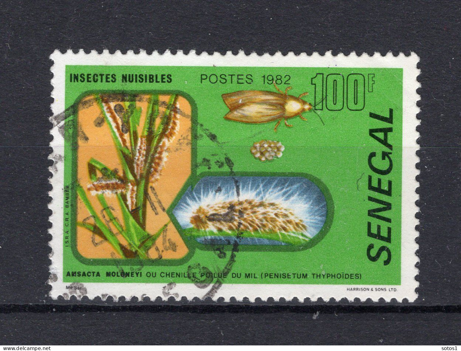 SENEGAL Yt. 572° Gestempeld 1982 - Senegal (1960-...)