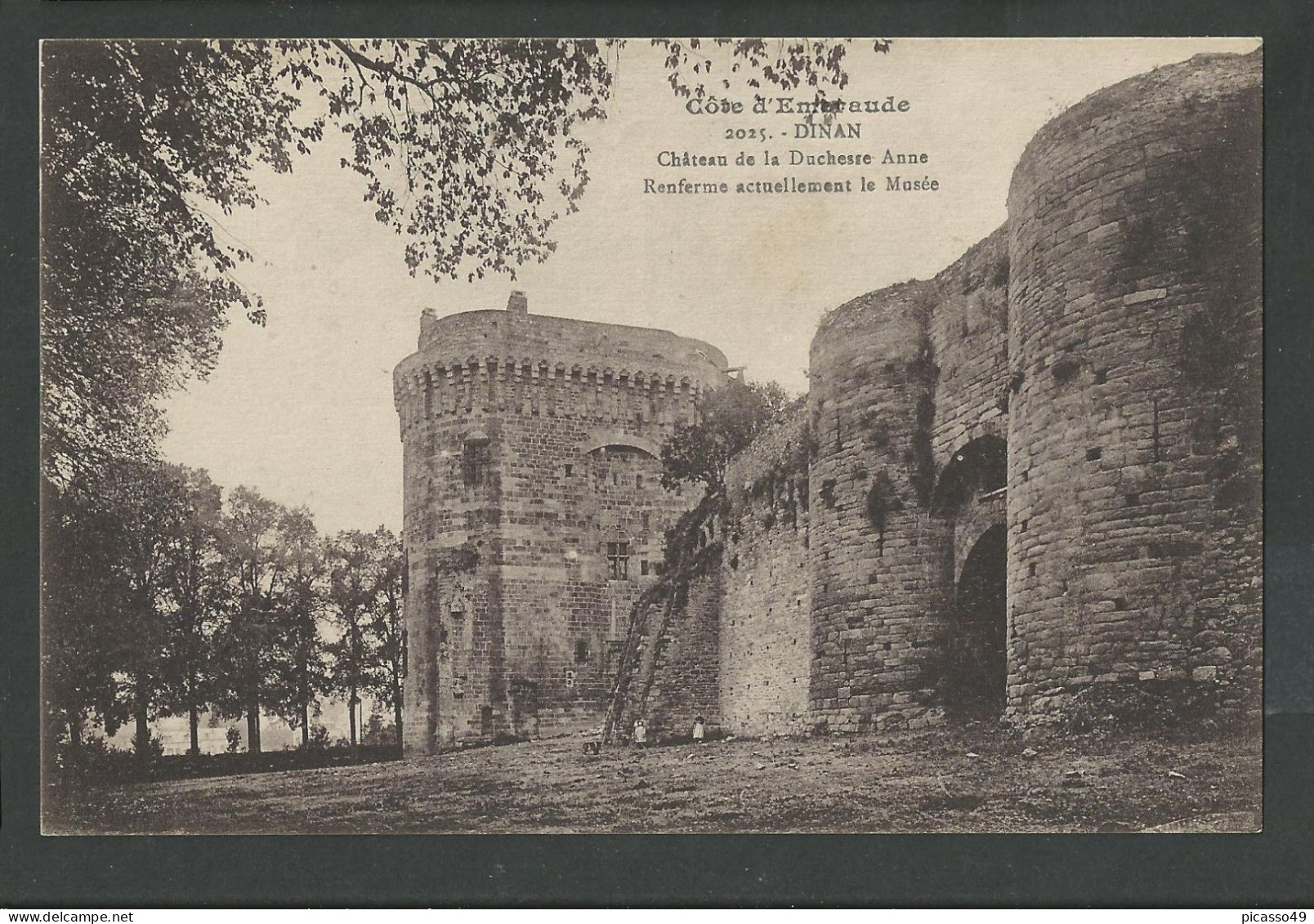 Cote D'armor , Dinan , Chateau De La Duchesse Anne - Dinan