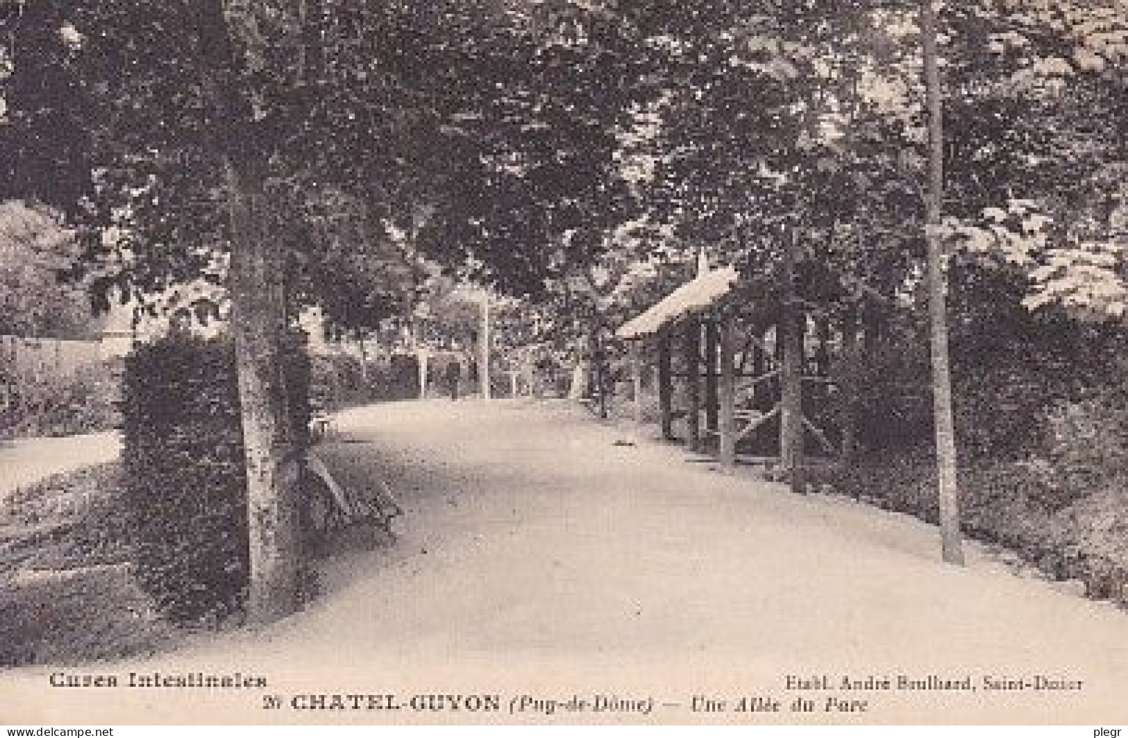 63103 01#0 - CHÂTEL GUYON * - LOT DE 130 CARTES ENVIRON