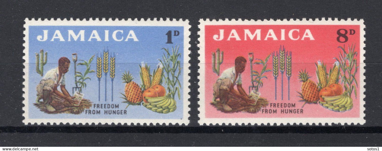 JAMAICA Yt. 208/209 MNH 1963 - Jamaique (1962-...)