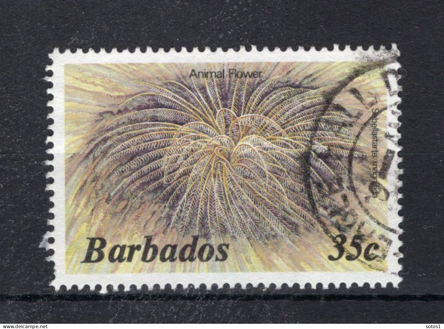 BARBADOS Yt. 615° Gestempeld 1985 - Barbados (1966-...)