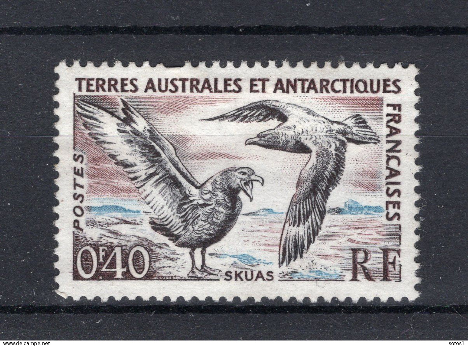 TERRES AUSTRALES ET ANTARCTIQUES Yt. 13 MH 1959-1963 - Unused Stamps