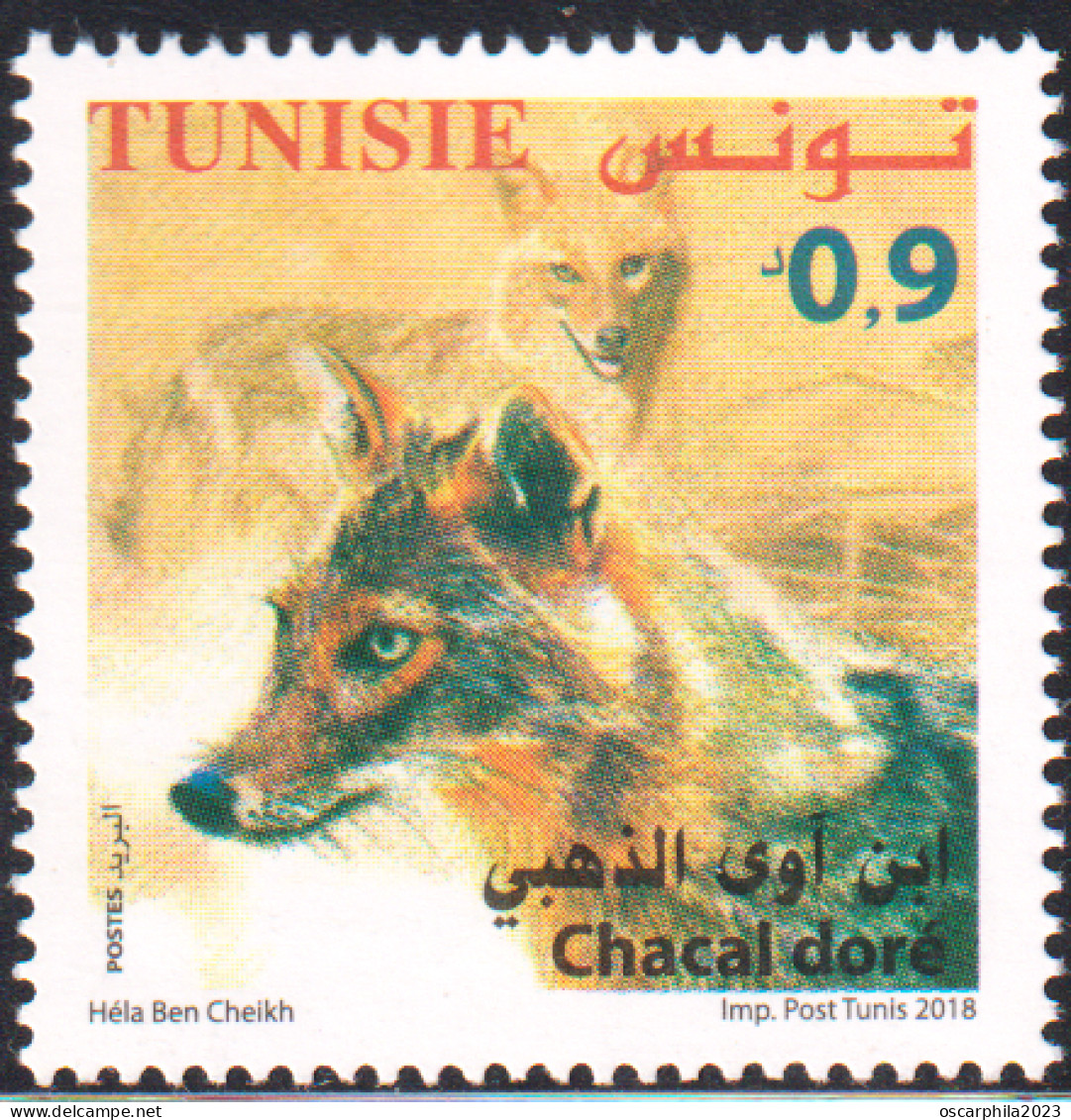 2018-Tunisie- Faune  Terrestre Et Maritime De La Tunisie ---  Chacal Doré -- 1V -MNH***** - Other & Unclassified