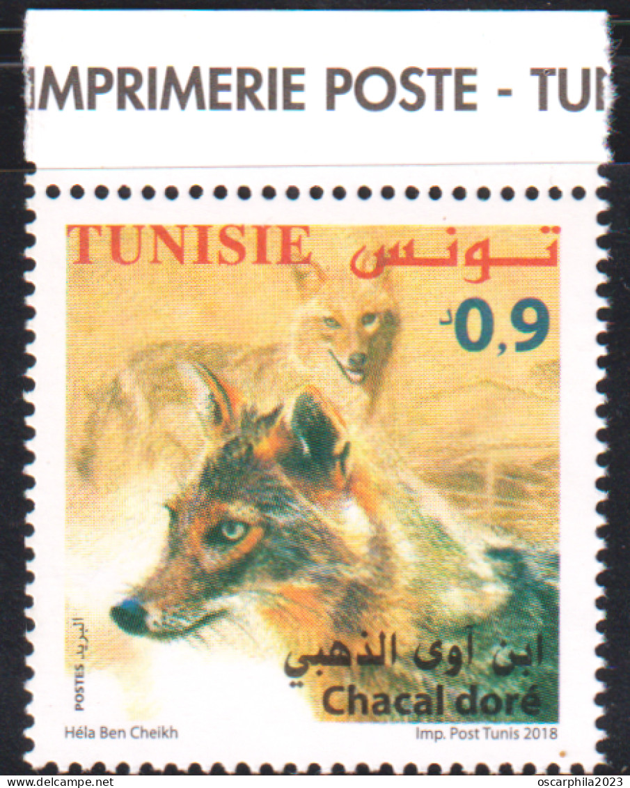 2018-Tunisie- Faune  Terrestre Et Maritime De La Tunisie ---  Chacal Doré -- 1V -MNH***** - Tunisie (1956-...)