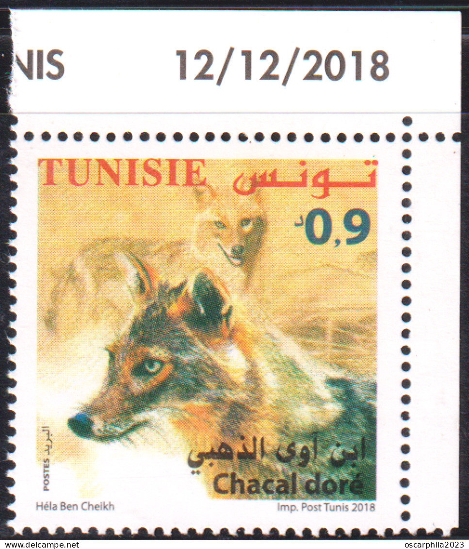 2018-Tunisie- Faune  Terrestre Et Maritime De La Tunisie ---  Chacal Doré -- 1V  Coin Daté -MNH***** - Tunisie (1956-...)